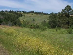 Rattlesnake Ridge