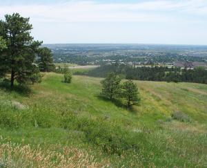 Rattlesnake Ridge Property